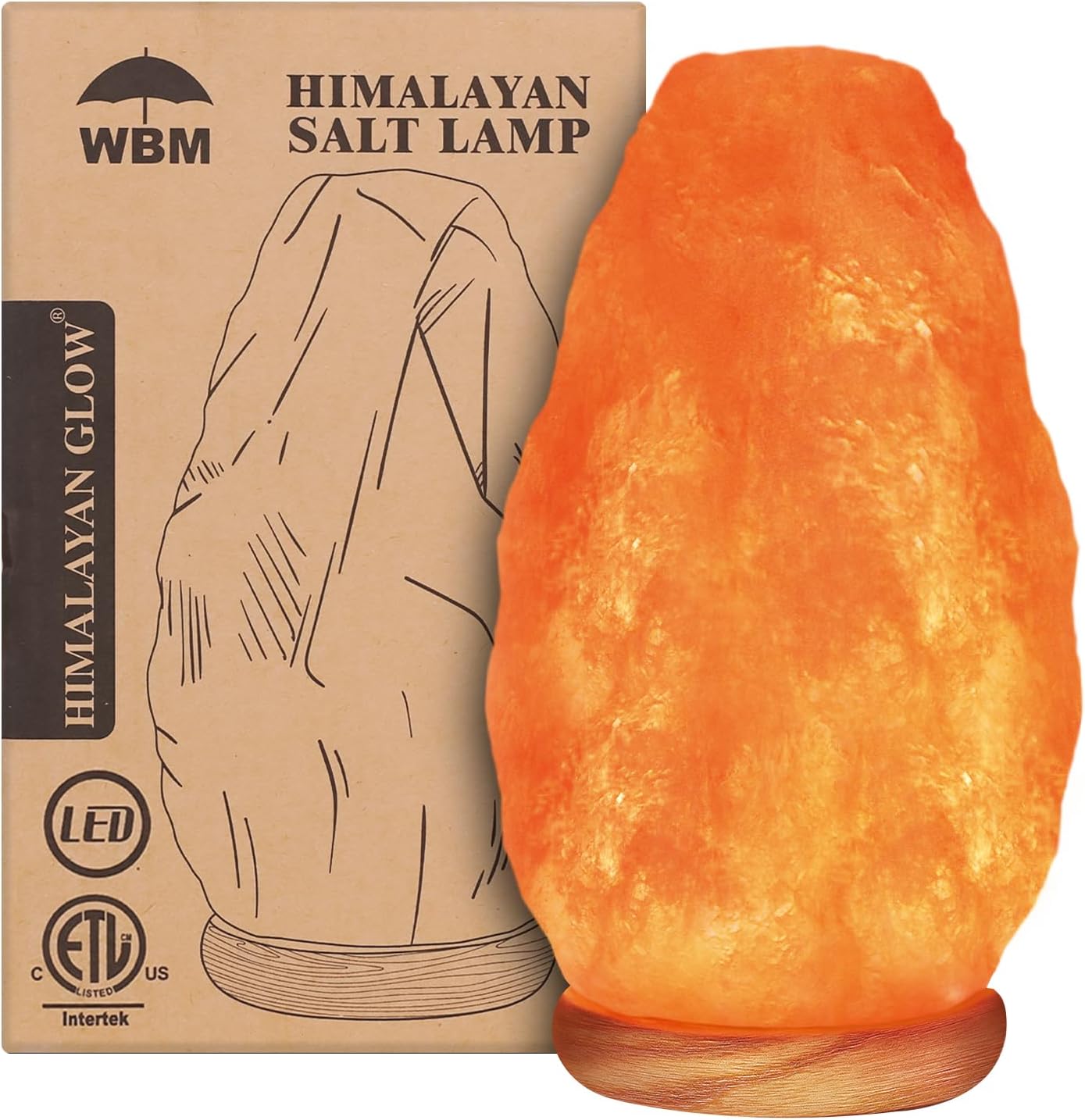 WBM Salt Lamp